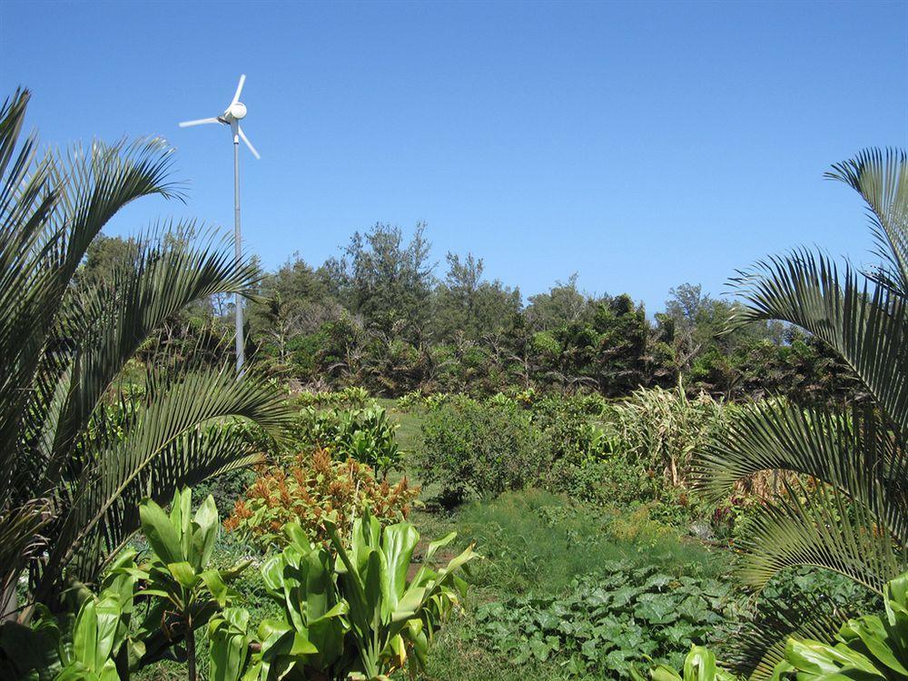 Вилла Hawaii Island Retreat At Ahu Pohaku Ho'Omaluhia Kapaau Экстерьер фото