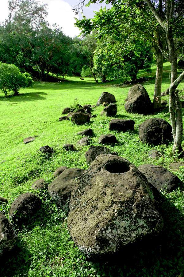 Вилла Hawaii Island Retreat At Ahu Pohaku Ho'Omaluhia Kapaau Экстерьер фото