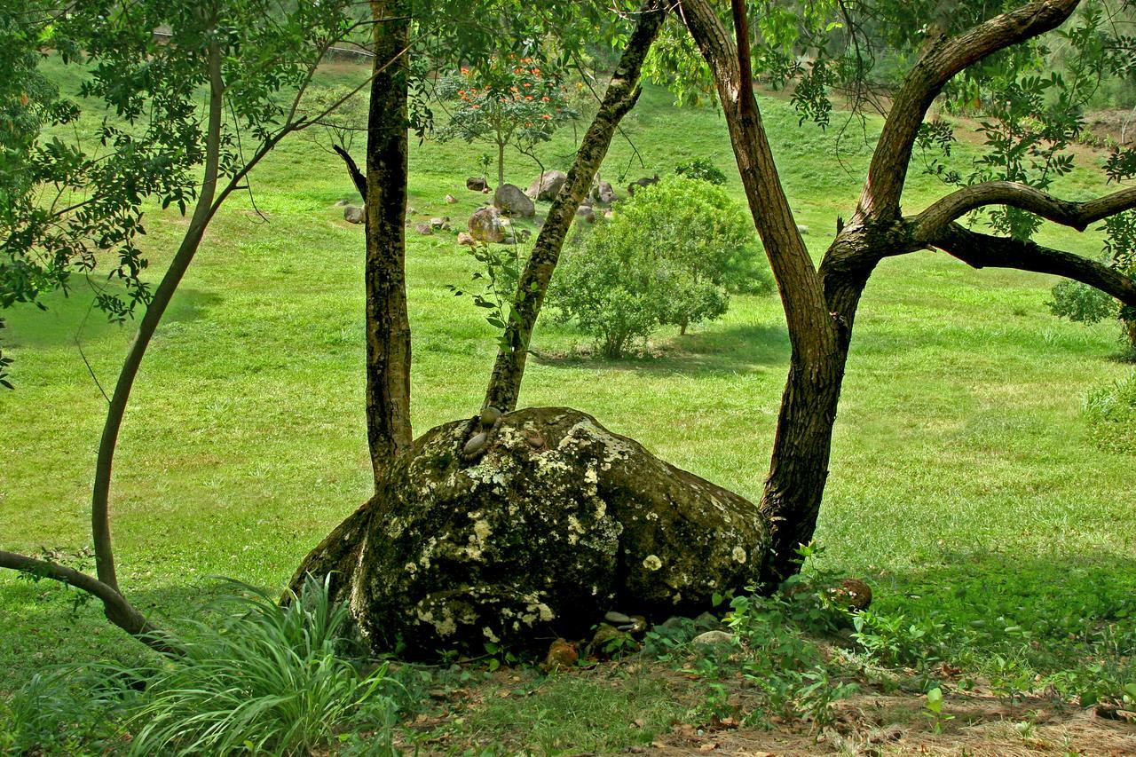 Вилла Hawaii Island Retreat At Ahu Pohaku Ho'Omaluhia Kapaau Экстерьер фото