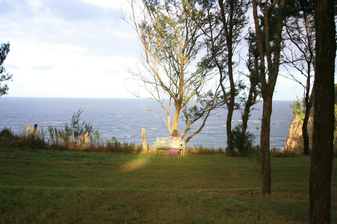 Вилла Hawaii Island Retreat At Ahu Pohaku Ho'Omaluhia Kapaau Экстерьер фото