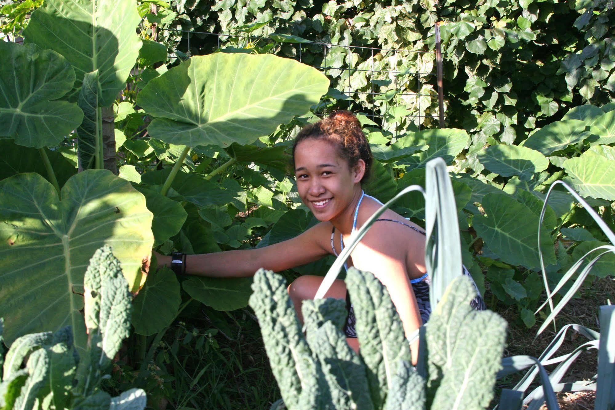 Вилла Hawaii Island Retreat At Ahu Pohaku Ho'Omaluhia Kapaau Экстерьер фото